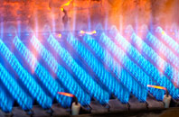 Auchenlochan gas fired boilers